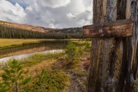 _MG_1090.jpg _MG_1090.jpg