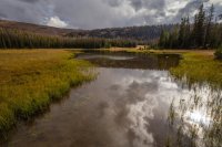 _MG_1099.jpg _MG_1099.jpg