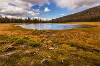 _MG_1112.jpg _MG_1112.jpg