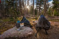 _MG_1117.jpg _MG_1117.jpg