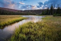 _MG_1177.jpg _MG_1177.jpg