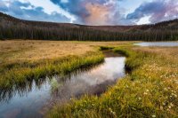 _MG_1182.jpg _MG_1182.jpg