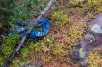 _MG_1229.jpg _MG_1229.jpg