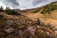 _MG_1241.jpg _MG_1241.jpg