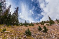 _MG_1251.jpg _MG_1251.jpg