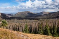 _MG_1261.jpg _MG_1261.jpg