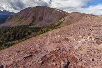 _MG_1266.jpg _MG_1266.jpg