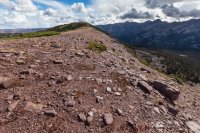 _MG_1272.jpg _MG_1272.jpg