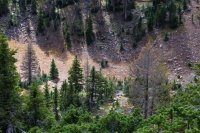 _MG_1301.jpg _MG_1301.jpg