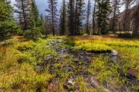 _MG_1327.jpg _MG_1327.jpg