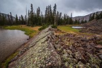 _MG_1515.jpg _MG_1515.jpg