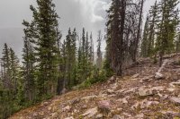 _MG_1522.jpg _MG_1522.jpg