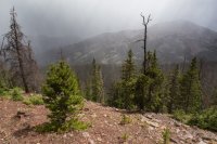 _MG_1530.jpg _MG_1530.jpg