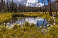 _MG_1540.jpg _MG_1540.jpg