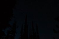 DSC_0100.JPG DSC_0100.JPG