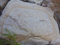 P1070440.JPG P1070440.JPG