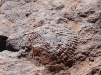 P1070459.JPG P1070459.JPG