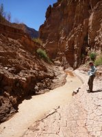 P1070471.JPG P1070471.JPG