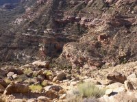 P1070493.JPG P1070493.JPG