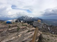 image.jpeg image.jpeg