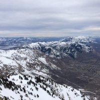 image.jpeg image.jpeg