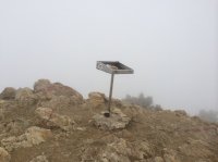 image.jpeg image.jpeg