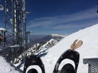 image.jpeg image.jpeg