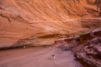 glen-canyon-9-2016-1600-14.jpg