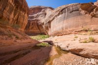 glen-canyon-9-2016-1600-17.jpg