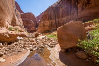 glen-canyon-9-2016-1600-18.jpg