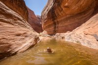 glen-canyon-9-2016-1600-22.jpg