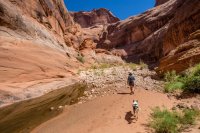 glen-canyon-9-2016-1600-23.jpg