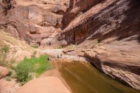 glen-canyon-9-2016-1600-26.jpg