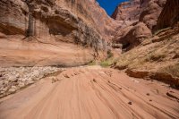 glen-canyon-9-2016-1600-27.jpg