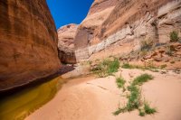 glen-canyon-9-2016-1600-29.jpg