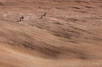 glen-canyon-9-2016-1600-41.jpg