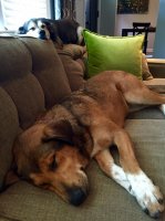 image.jpeg image.jpeg