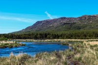 KS Bird+Dumpling Mtn-19.jpg