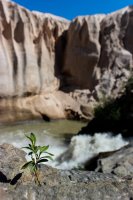 Memorial VTTS-32.jpg