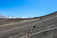 Memorial VTTS-97.jpg