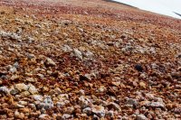 Memorial VTTS-155.jpg