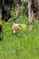 6.16-17 Animals-12.jpg