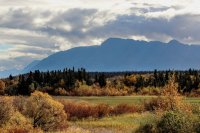 9.16 Work Bears-22.jpg