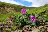 Aug VTTS-29.jpg Aug VTTS-29.jpg