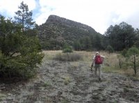 highres_450591087.jpeg highres_450591087.jpeg