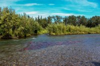 8.3 Margot Cr-30.jpg