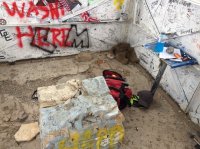 IMG_9445.JPG IMG_9445.JPG