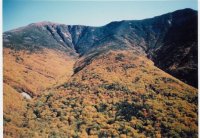 Old Bridle Path.jpg Old Bridle Path.jpg