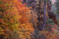 fallcolors-4094-2.jpg