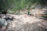 camp across from mouth of youngs.jpg